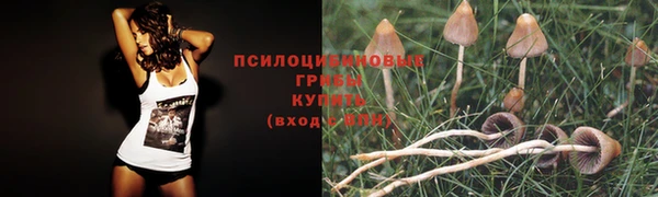 кристаллы Алексеевка